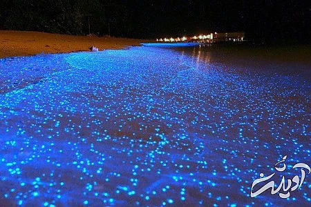 عکس های خلیج تویوما خلیج تویوما,تصاویر خلیج تویوما,عکس های خلیج تویوما